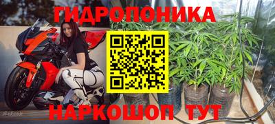 прущие грибы Кунгур