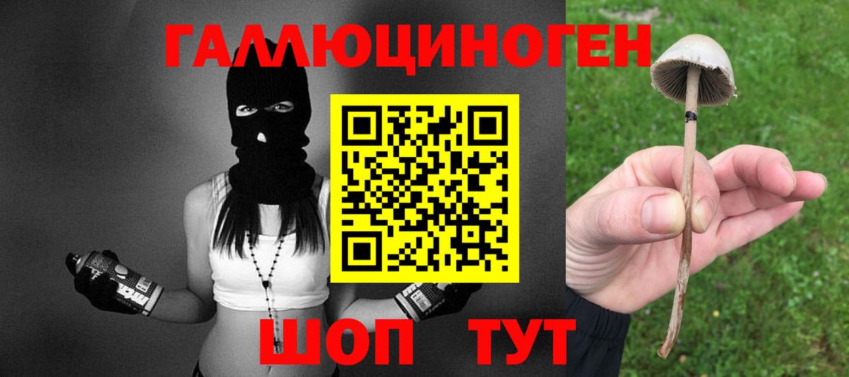 Урус-Мартан  Псилоцибиновые грибы мухоморы  Вход с VPN 